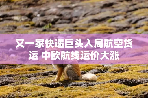 又一家快递巨头入局航空货运 中欧航线运价大涨