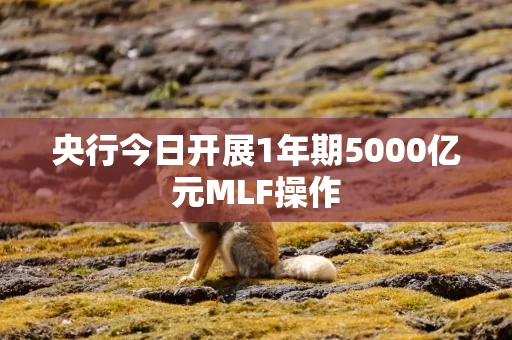 央行今日开展1年期5000亿元MLF操作