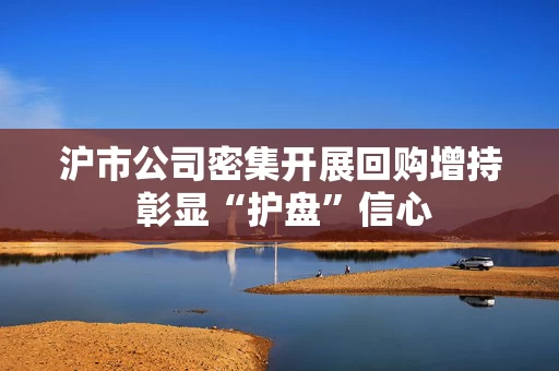 沪市公司密集开展回购增持 彰显“护盘”信心
