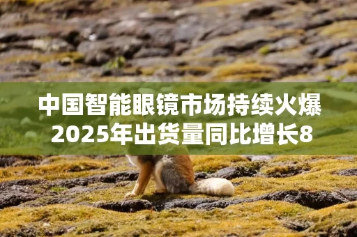 中国智能眼镜市场持续火爆 2025年出货量同比增长87.1%