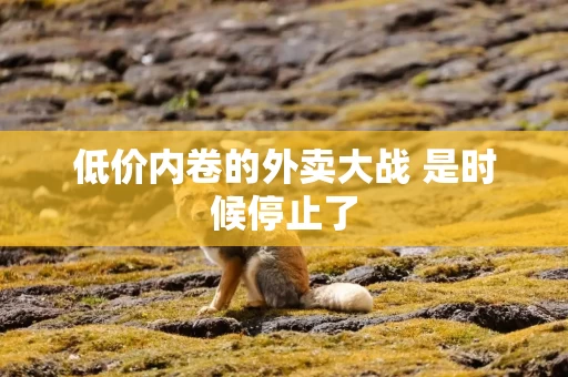 低价内卷的外卖大战 是时候停止了