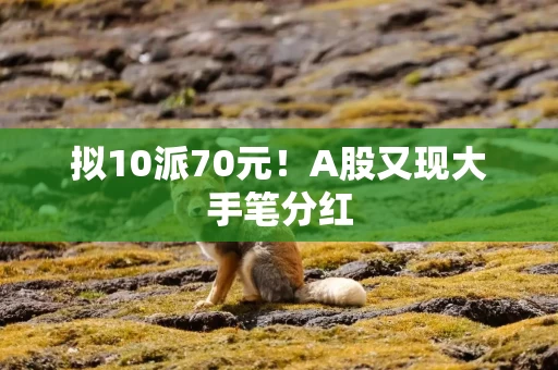 拟10派70元!A股又现大手笔分红