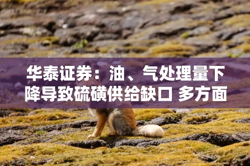 华泰证券:油、气处理量下降导致硫磺供给缺口 多方面冲击化工及金属