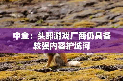 中金:头部游戏厂商仍具备较强内容护城河
