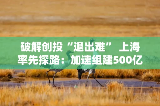 破解创投“退出难” 上海率先探路:加速组建500亿并购基金矩阵