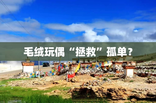 毛绒玩偶“拯救”孤单?