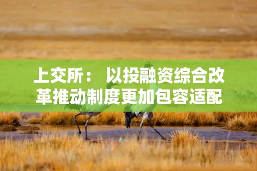 上交所: 以投融资综合改革推动制度更加包容适配