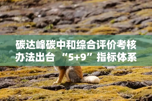 碳达峰碳中和综合评价考核办法出台 “5+9”指标体系确保如期实现2030年前碳达峰及相关目标