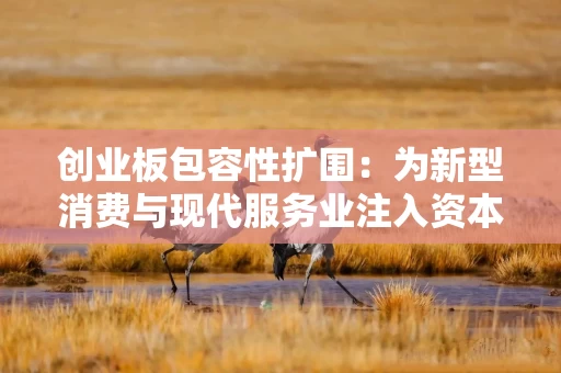 创业板包容性扩围：为新型消费与现代服务业注入资本活水