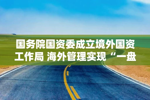 国务院国资委成立境外国资工作局 海外管理实现“一盘棋”