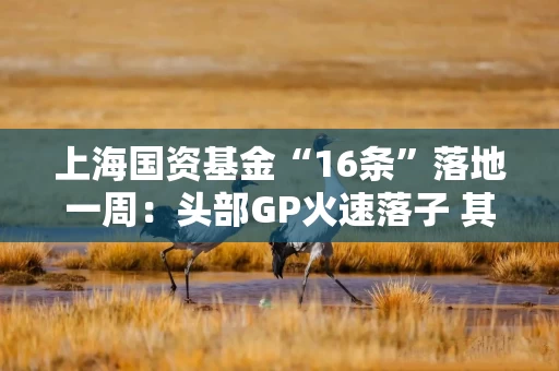 上海国资基金“16条”落地一周:头部GP火速落子 其他城市国资研究跟进