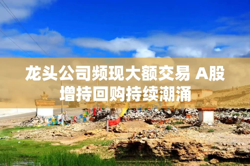 龙头公司频现大额交易 A股增持回购持续潮涌