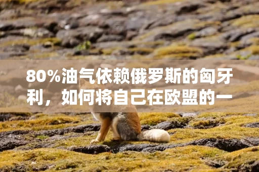 80%油气依赖俄罗斯的匈牙利,如何将自己在欧盟的一票否决权利益最大化?