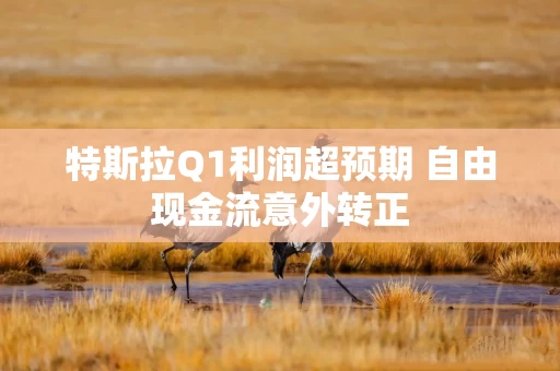 特斯拉Q1利润超预期 自由现金流意外转正