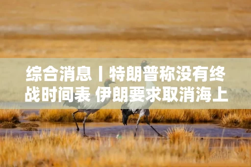 综合消息丨特朗普称没有终战时间表 伊朗要求取消海上封锁