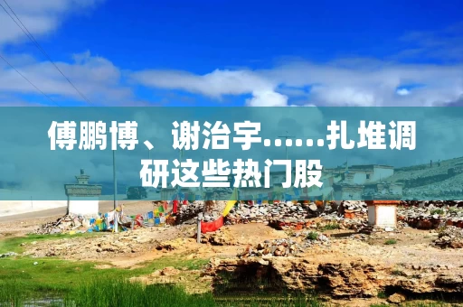傅鹏博、谢治宇……扎堆调研这些热门股