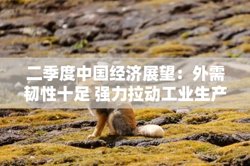 二季度中国经济展望：外需韧性十足 强力拉动工业生产
