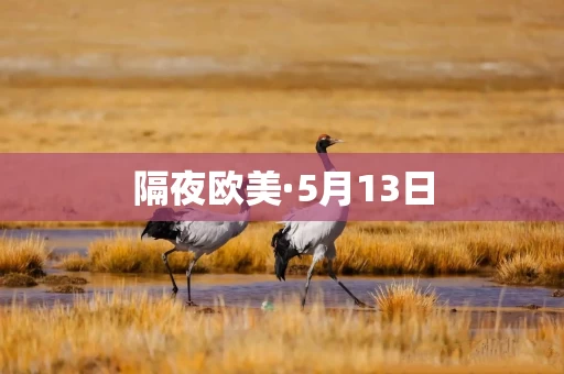 隔夜欧美·5月13日
