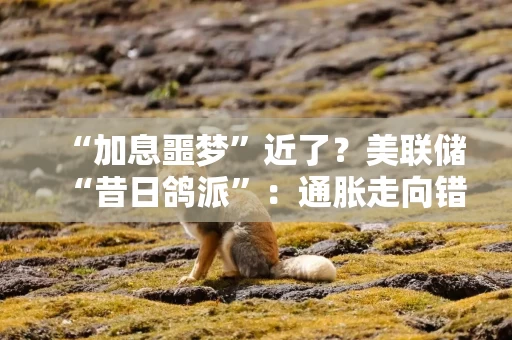 “加息噩梦”近了？美联储“昔日鸽派”：通胀走向错误 与关税、石油无关！