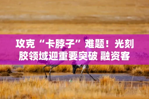 攻克“卡脖子”难题！光刻胶领域迎重要突破 融资客提前盯上这些票