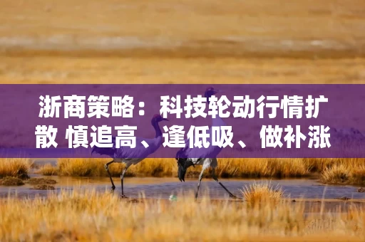 浙商策略：科技轮动行情扩散 慎追高、逢低吸、做补涨