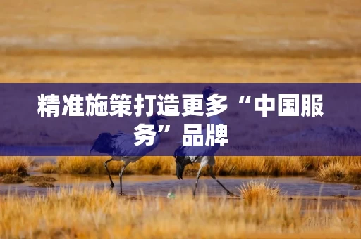 精准施策打造更多“中国服务”品牌