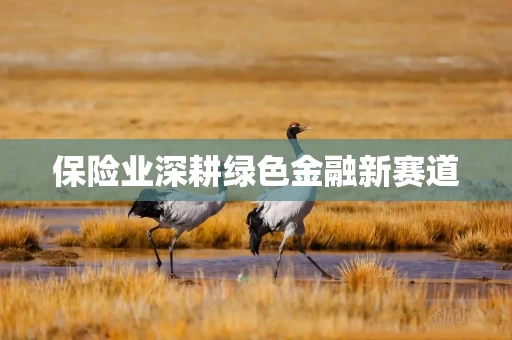 保险业深耕绿色金融新赛道