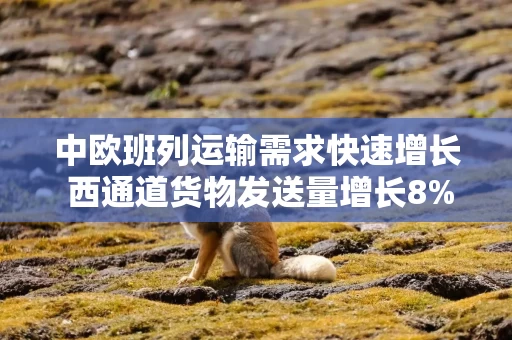 中欧班列运输需求快速增长 西通道货物发送量增长8%