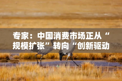 专家：中国消费市场正从“规模扩张”转向“创新驱动”