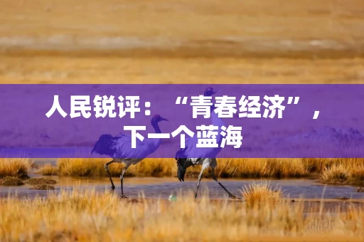 人民锐评：“青春经济”，下一个蓝海