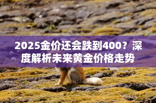 2025金价还会跌到400？深度解析未来黄金价格走势