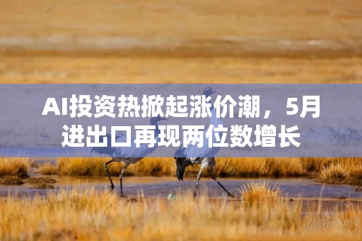 AI投资热掀起涨价潮,5月进出口再现两位数增长