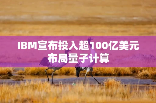 IBM宣布投入超100亿美元布局量子计算