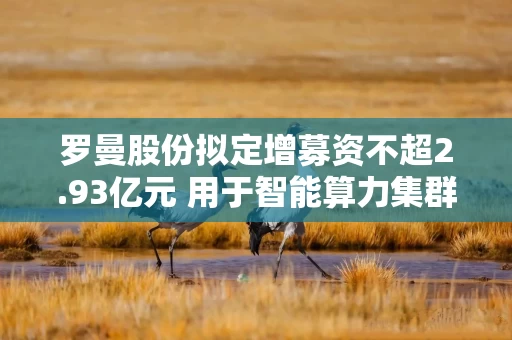 罗曼股份拟定增募资不超2.93亿元 用于智能算力集群建设及运营项目