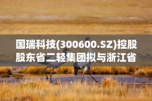 国瑞科技(300600.SZ)控股股东省二轻集团拟与浙江省机电集团进行战略性重组