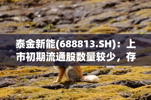 泰金新能(688813.SH):上市初期流通股数量较少,存在流动性不足的风险