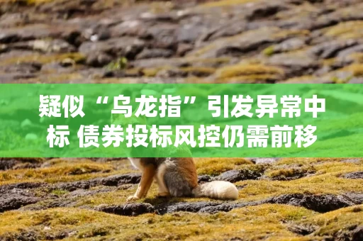 疑似“乌龙指”引发异常中标 债券投标风控仍需前移