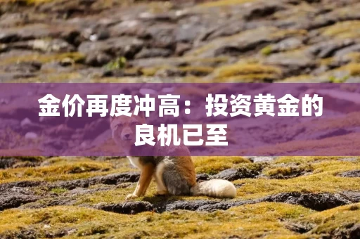 金价再度冲高：投资黄金的良机已至