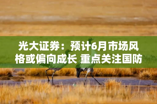 光大证券:预计6月市场风格或偏向成长 重点关注国防军工等行业