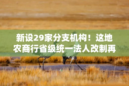 新设29家分支机构!这地农商行省级统一法人改制再推进