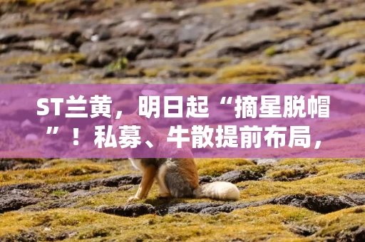 ST兰黄,明日起“摘星脱帽”!私募、牛散提前布局,押中“西北啤酒王”困境反转?