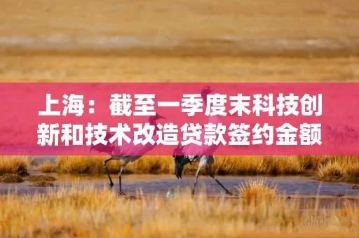 详细阅读:上海:截至一季度末科技创新和技术改造贷款签约金额1490亿元 上海:截至一季度末科技创新和技术改造贷款签约金额1490亿元