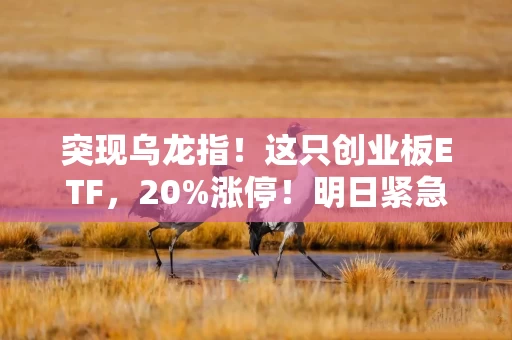 突现乌龙指！这只创业板ETF，20%涨停！明日紧急停牌