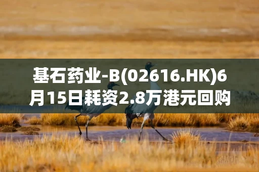基石药业-B(02616.HK)6月15日耗资2.8万港元回购6000股
