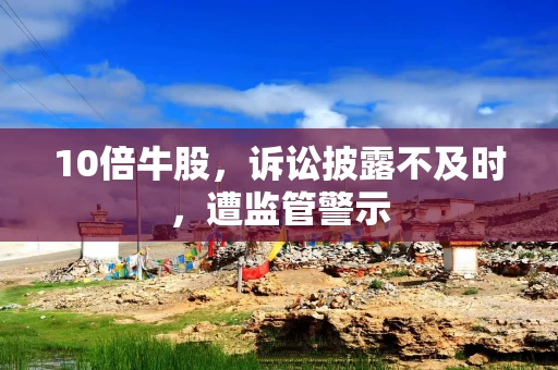 10倍牛股，诉讼披露不及时，遭监管警示