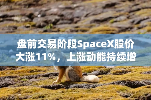 盘前交易阶段SpaceX股价大涨11%,上涨动能持续增强