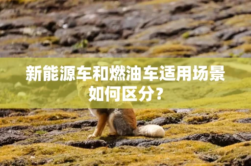 新能源车和燃油车适用场景如何区分?