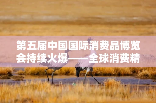 第五届中国国际消费品博览会持续火爆——全球消费精品引领新风尚