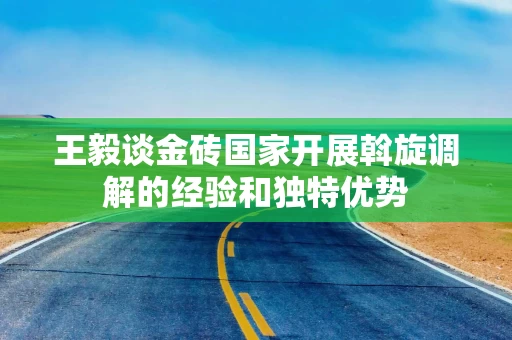 王毅谈金砖国家开展斡旋调解的经验和独特优势
