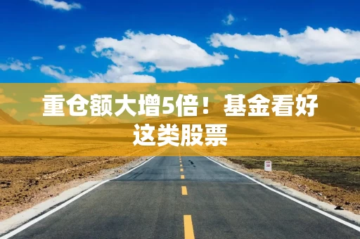 重仓额大增5倍！基金看好这类股票